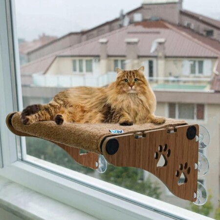 ATA HOME Büyük Boy Yeni Ahşap Cama Yapışan Kedi Yatağı Vantuzlu Cam Yatağı Terası