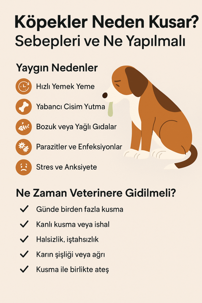 kopekler neden kusar ne yapmali